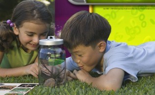 Camp bug 2kids